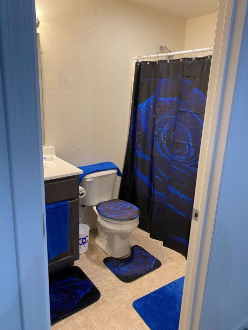 Basement Bathroom 1