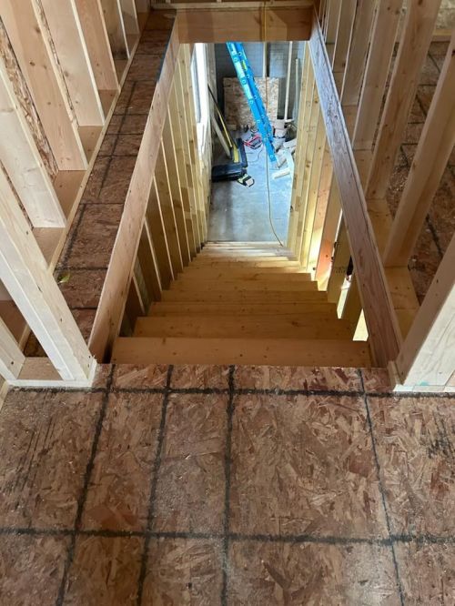 Basement Stairs 1
